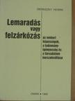 Dedinszky Henrik - Lemaradás vagy felzárkózás [antikvár]