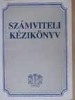 Dr. Bíró Tibor - Számviteli kézikönyv [antikvár]