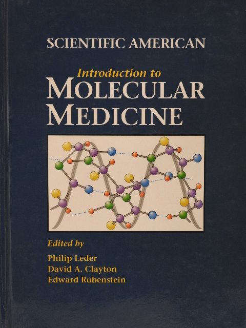 Anne N. Baldwin, Ph.D. - Introduction to Molecular Medicine [antikvár]