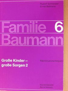 Bernd Nowald - Familie Baumann 6. [antikvár]