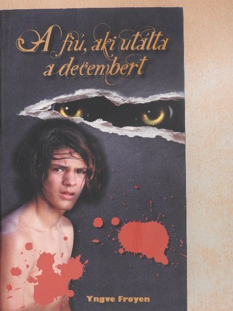 Yngve Froyen - A fiú, aki utálta a decembert [antikvár]