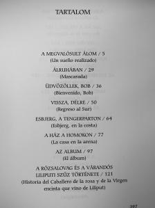Juan Carlos Onetti - A megvalósult álom [antikvár]