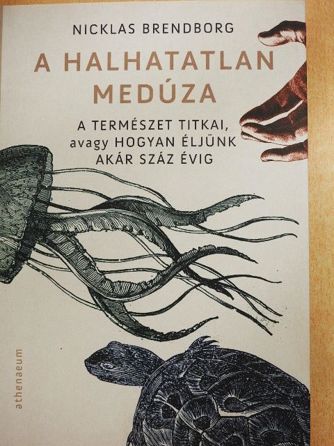 Nicklas Brendborg - A halhatatlan medúza [antikvár]