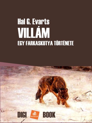 Evarts Hal G. - Villám [eKönyv: epub, mobi]