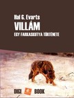 Evarts Hal G. - Villám [eKönyv: epub, mobi]