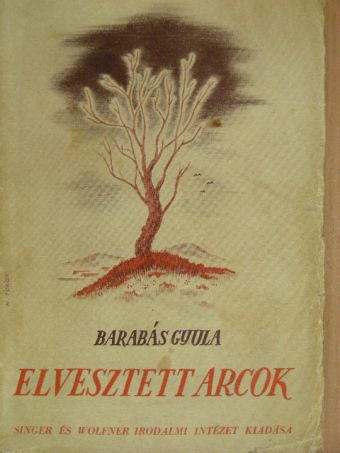 Barabás Gyula - Elvesztett arcok [antikvár]