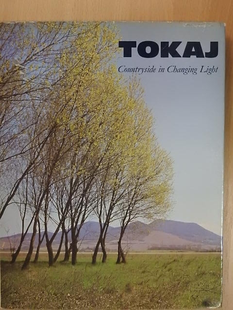 István Lázár - Tokaj [antikvár]