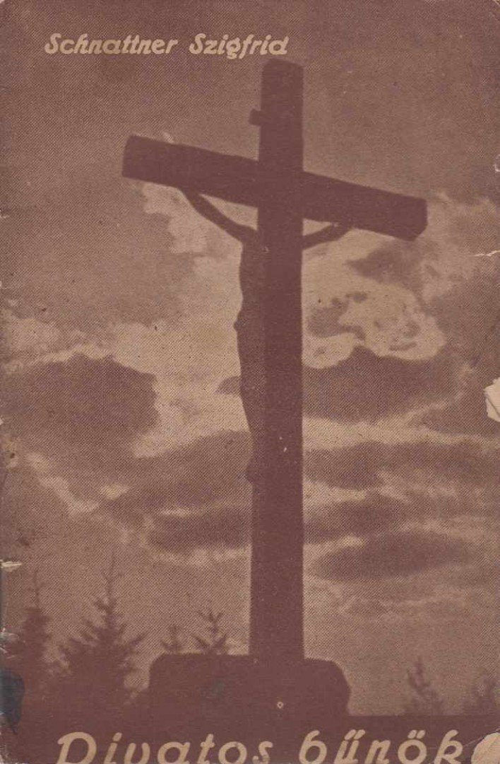Schnattner Szigfrid - Divatos bűnök [antikvár]