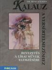 Dr. Bene Kálmán - Kalauz a versértelmezéshez [antikvár]
