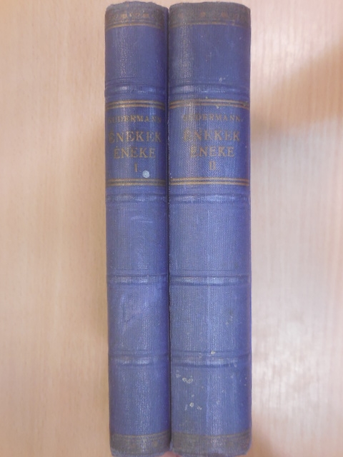 Sudermann Hermann - Énekek éneke I-II. [antikvár]