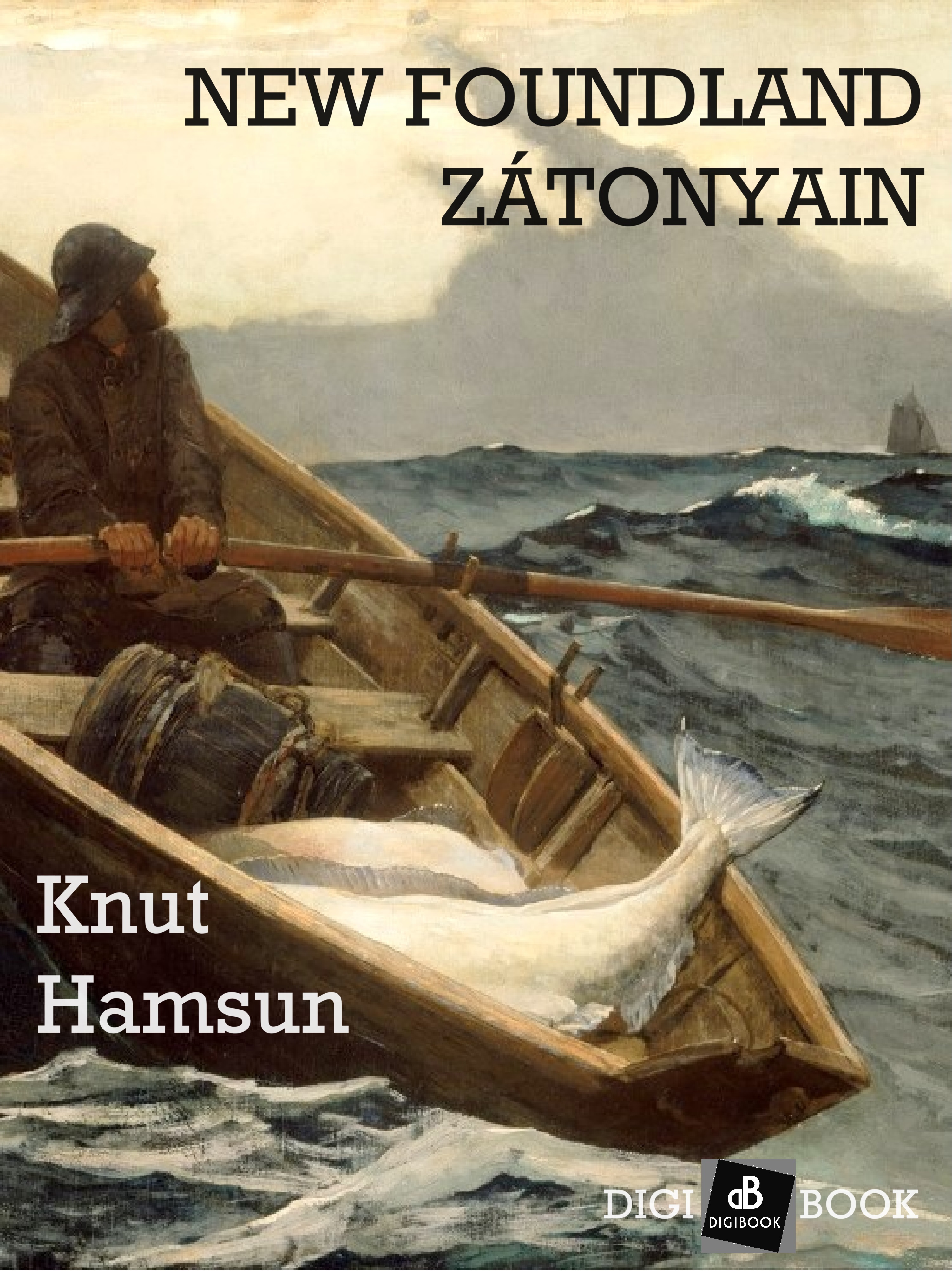 Knut Hamsun - New Foundland zátonyain [eKönyv: epub, mobi]