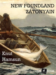 Knut Hamsun - New Foundland zátonyain [eKönyv: epub, mobi]