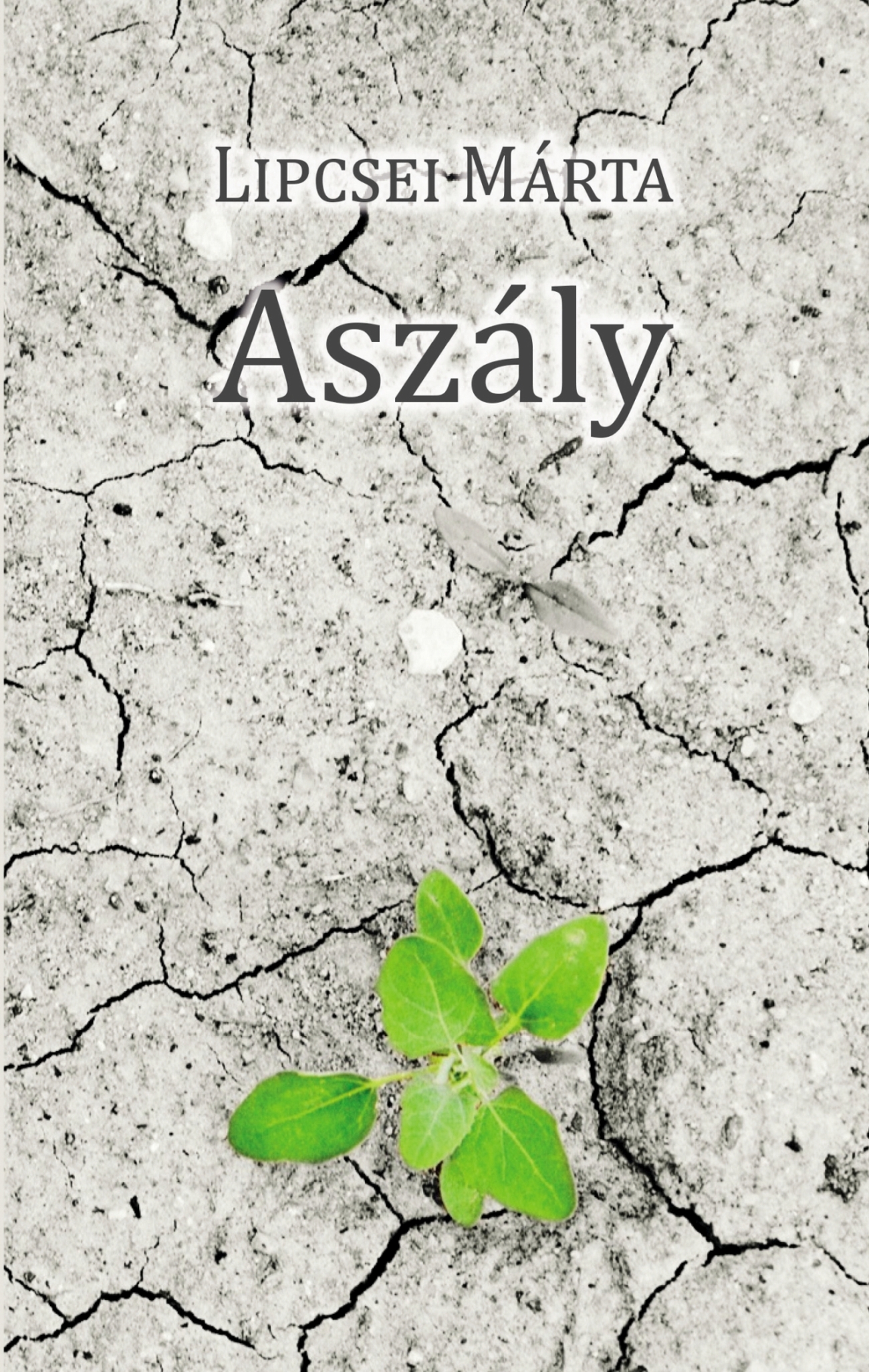 Lipcsei Márta - Aszály