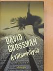 David Grossman - A villámkölyök [antikvár]