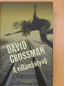 David Grossman - A villámkölyök [antikvár]