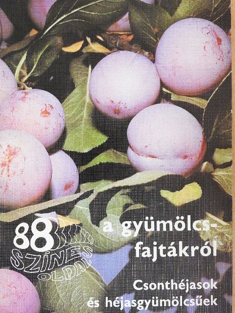 Dr. Bodor János - A gyümölcsfajtákról [antikvár]