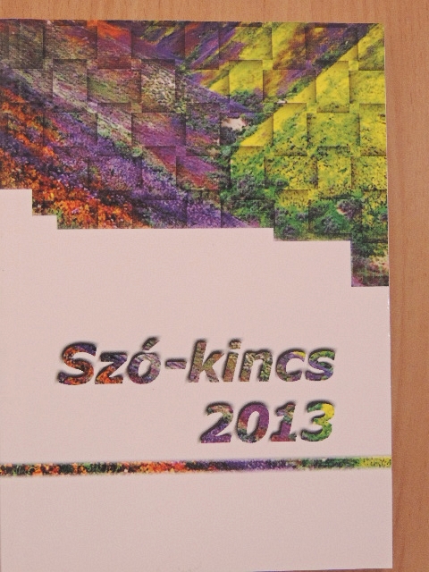 A. Túri Zsuzsa - Szó-kincs 2013 [antikvár]