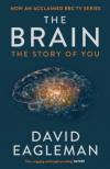 David Eagleman - The Brain [antikvár]