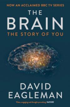 David Eagleman - The Brain [antikvár]