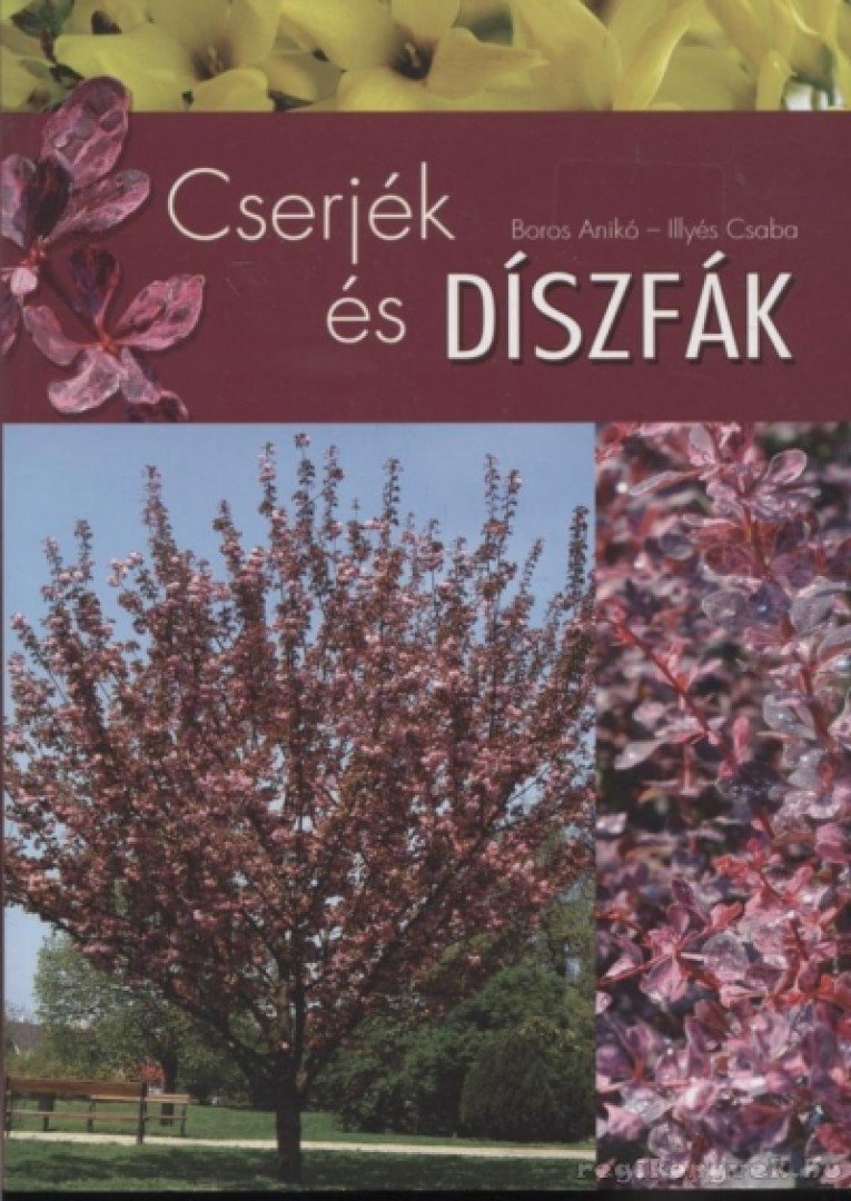 Illyés Csaba, Boros Anikó - Cserjék és díszfák [antikvár]