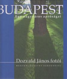 Dozvald János - Budapest - Egy nagyváros apróságai [antikvár]