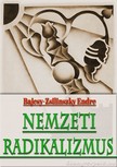 Bajcsy-Zsilinszky Endre - Nemzeti radikalizmus [eKönyv: epub, mobi]