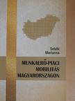 Sebők Marianna - Munkaerő-piaci mobilitás Magyarországon [antikvár]