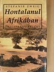 Stefanie Zweig - Hontalanul Afrikában [antikvár]