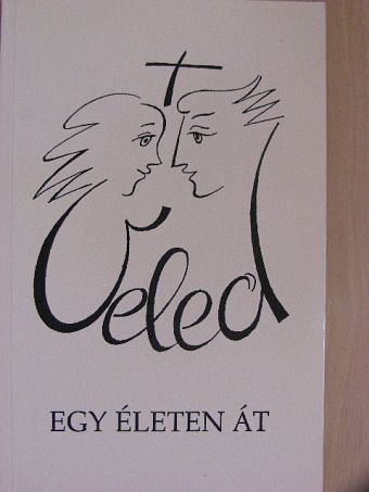 Veled egy életen át [antikvár]