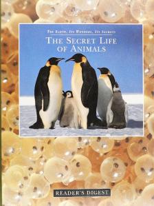 Michael Bright - The Secret Life of Animals [antikvár]
