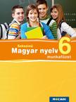 Bernáth Magdolna, Lénárd Judit, Patonainé Kökényesi Katalin - Sokszínű magyar nyelv 6. mf. [szépséghibás]