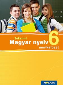 Bernáth Magdolna, Lénárd Judit, Patonainé Kökényesi Katalin - Sokszínű magyar nyelv 6. mf. [szépséghibás]