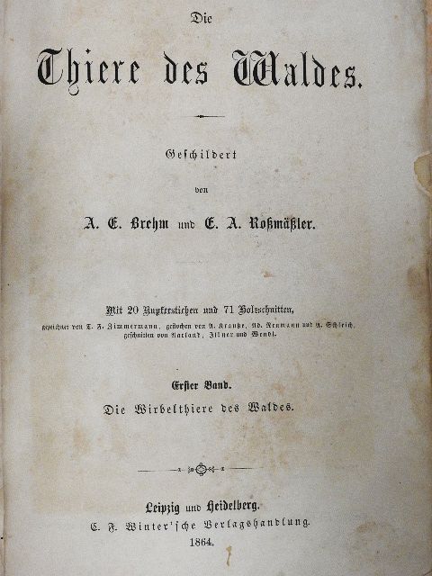 A. E. Brehm - Die Thiere des Waldes I. (gótbetűs) [antikvár]