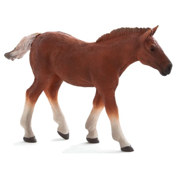 MOJO Suffolk Punch Foal M