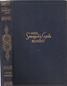 Somogyváry Gyula - A Rajna ködbevész [antikvár]