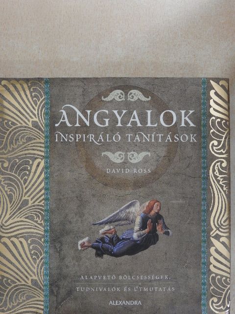 David Ross - Angyalok [antikvár]