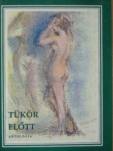 Bardócz Pál - Tükör előtt [antikvár]