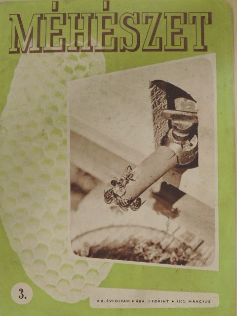 Cicatricis Géza - Méhészet 1972. március [antikvár]