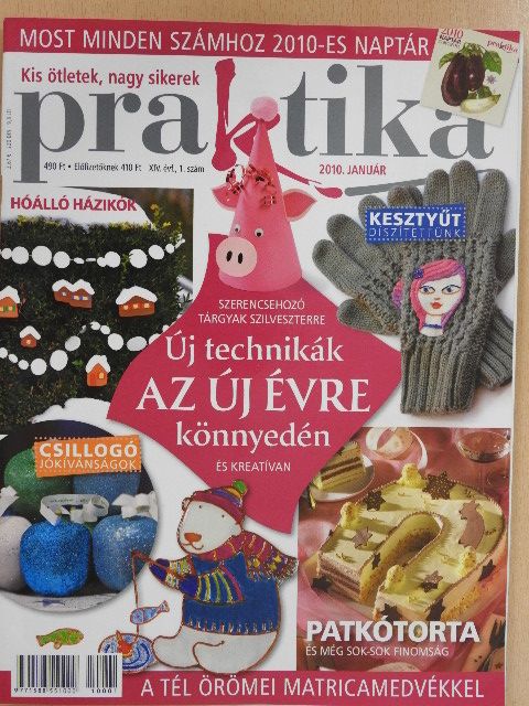 Praktika 2010. január [antikvár]