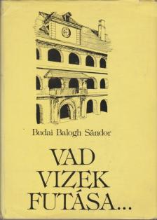 Budai Balogh Sándor - Vad vizek futása... [antikvár]