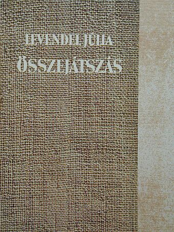 Levendel Júlia - Összejátszás [antikvár]