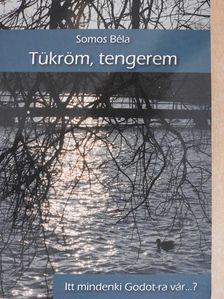 Somos Béla - Tükröm, tengerem [antikvár]