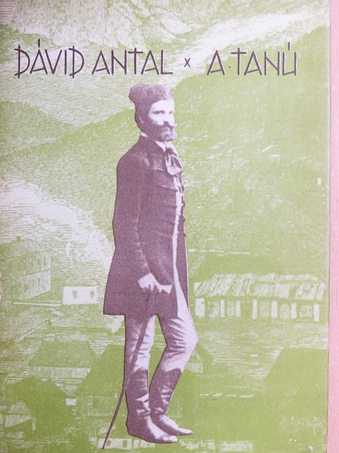 Dávid Antal - A tanú [antikvár]