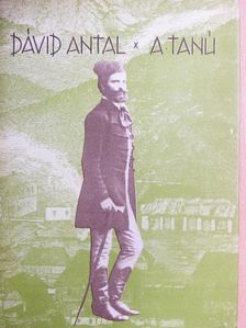 Dávid Antal - A tanú [antikvár]