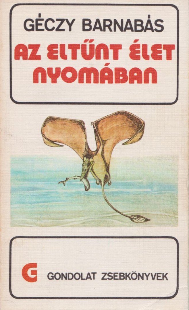 Géczy Barnabás - Az eltűnt élet nyomában [antikvár]