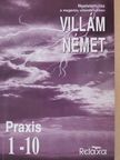 Horváthné Bánky Dóra - Villám német - Praxis 1-10 [antikvár]