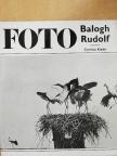 Dr. Vajda Ernő - Balogh Rudolf munkássága [antikvár]