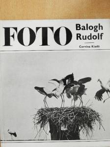 Dr. Vajda Ernő - Balogh Rudolf munkássága [antikvár]