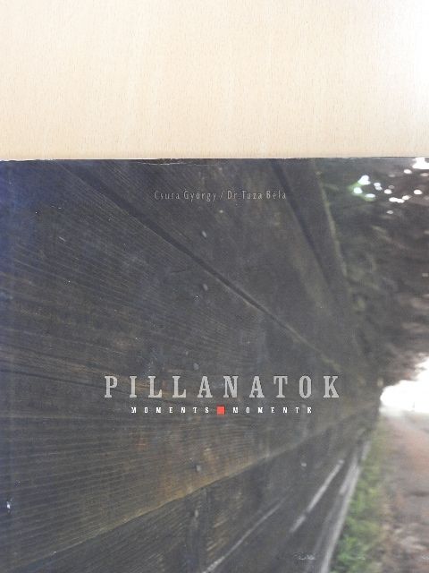 Csuta György - Pillanatok [antikvár]