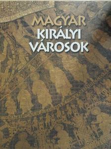 Soltész István - Magyar királyi városok [antikvár]